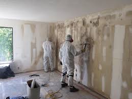 Why You Should Choose Our Mold Remediation Services in Winters, CA